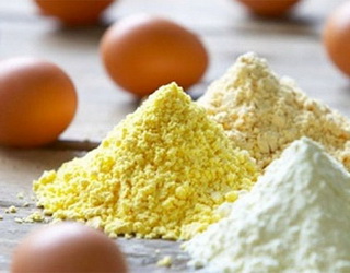 «АВІС-Україна» планує виробляти сухі яєчні продукти